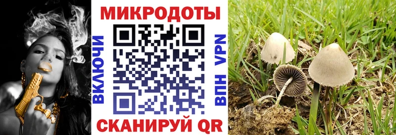 Галлюциногенные грибы Psilocybine cubensis  Петушки 